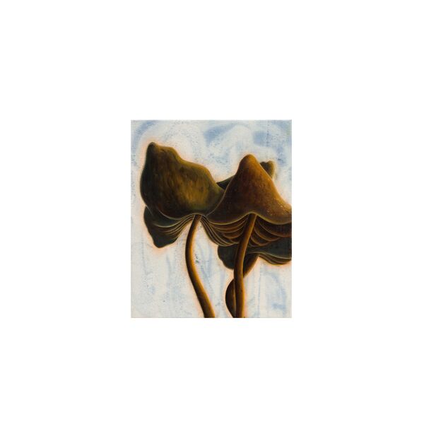 Luc Palmer / 2024_01 / Öl auf Baumwolle / 30 x 24 cm