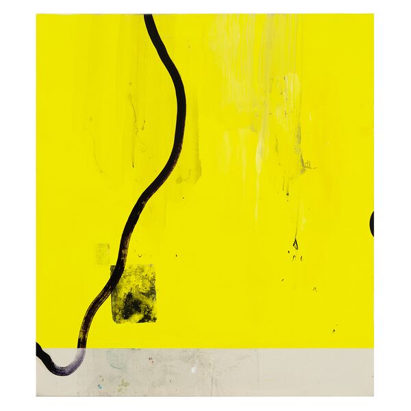 Luc Palmer / 2021_21 / Dioxfuran / Acryl, Transferdruck und Öl auf Baumwolle / 170 x 150 cm