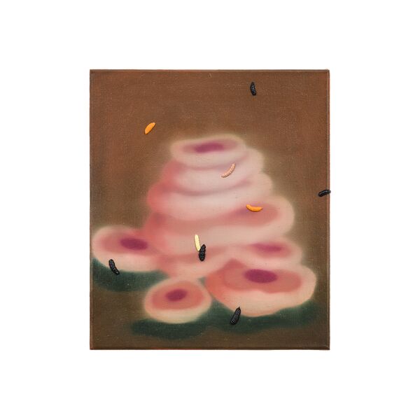 Luc Palmer / 2025_06 / Öl auf Baumwolle / 43 x 37 cm