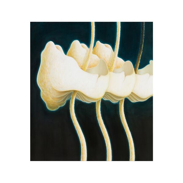 Luc Palmer / 2024_03 / Öl auf Baumwolle / 85 x 75 cm